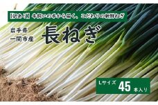 【訳あり】牛飼いの手から届く、こだわりの新鮮ねぎ（Lサイズ45本）