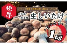 <先行予約>静かなハウスでじっくり育てた、ぷりっと極厚鮮度抜群しいたけ 1kg