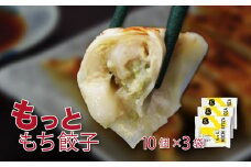 いちのせき もっともち餃子 ぎょうざ ギョウザ ギョーザ 惣菜 岩手県 一関市 焼き餃子 水餃子 冷凍
