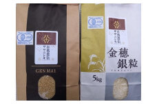 ＜新米先行予約＞【毎月定期12回】令和7年産 新米 自然農法 ササニシキ 5kg【玄米】