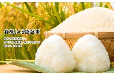 【新米先行予約】令和7年産 新米 有機栽培 コシヒカリ 20kg 【玄米】