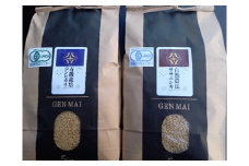 【新米先行予約】令和7年産 新米 自然農法 ササニシキ 10kg 有機栽培 コシヒカリ 10kg セット 【玄米】