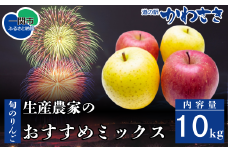 【先行予約】道の駅かわさき 旬のりんご 生産農家のおすすめ詰合せ 10kg 11月頃から順次発送 シナノゴールド・シナノスイート・ジョナゴールド・ふじ・大夢・青林・はるか/他