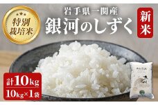 ＜新米先行予約＞令和7年産 特別栽培 銀河のしずく 10kg  お米 いわて コメ 精米 ブランド米 米 ご飯 白飯 ごはん お弁当 おにぎり 岩手県 一関市