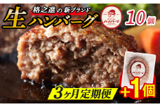 【定期便3回】格之進 肉おじさん 生 ハンバーグ 10個×3回 +1個 (合計31個) あはハンバーグ 牛肉 豚肉 小分け 人気 惣菜 簡単調理 おかず お弁当 冷凍