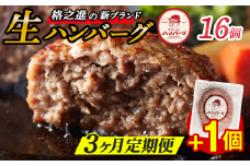 【定期便3回】格之進 肉おじさん 生 ハンバーグ 16個×3回 +1個 (合計49個) あはハンバーグ 牛肉 豚肉 小分け 人気 惣菜 簡単調理 おかず お弁当 冷凍