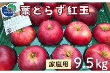【先行予約】葉とらず紅玉 9.5kg 家庭用