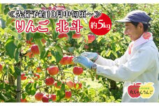 家庭用 りんご 北斗 約5㎏ ≪先行予約10月中旬頃～順次発送≫
