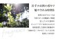 岩手の自然の香りで癒やされる時間を
