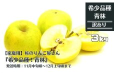 【先行予約】【家庭用】峠のりんご屋さん『希少品種！ 青林』3kg（10～12 玉入り）