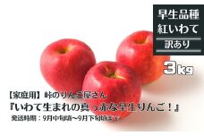 【家庭用】峠のりんご屋さん  紅いわて 3kg（10～12 玉入り）旬りんご