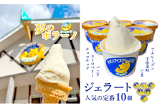 《ポラーノ》 ジェラート 詰め合わせ 定番 10個 セット 行列ができる 人気店 ジェラート屋さん 【アイス ジェラート 手作り 詰め合わせ 菓子 アイスクリーム gelato icecream 】 