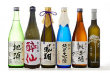 【酔仙酒造】 超特選 飲み比べ 6種セット～夏ver～ 【 地酒 お酒 日本酒 飲み比べ 晩酌 岩手県 陸前高田市 】RT743