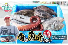 【下処理しない】三陸海の恵み詰め合わせ(目安：1～2人用) 【 無添加 鮮魚 三陸産 国産 天然 海鮮 お刺身 魚介 魚介類 詰め合わせ セット 鮮魚BOX ボックス お祝い 宴会 時短 便利 簡単 お手軽 岩手 陸前高田市 産地直送 】 RT840