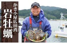 【数量限定】 夏が旬！ かき小屋広田湾の岩牡蠣 約2kg 専用ナイフ・軍手付き 【 かき カキ 牡蠣 殻付き バーベキュー 人気 おすすめ 三陸産 】 RT371