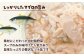 しっかりしたマグロの旨み