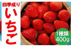 四季成りいちご 品種おまかせ 1種類 400g〈 なつあかり 信大BS8-9 夏の輝 夏のしずく すずあかね 〉【 イチゴ 苺 ストロベリー フルーツ 果物 岩手 陸前高田 リアスターファーム 】6月～12月発送 RT875