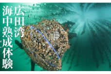 広田湾【海中熟成酒】体験２名様
