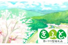 【思いやり型返礼品】桜ライン311の活動支援【半年間維持管理】