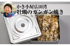 【2025年3月後半発送】牡蠣のガンガン焼き 殻付き10個セット 【 牡蠣 かき 殻付き 天然 人気 浜焼き グラタン 海鮮 魚介 魚介類 BBQ バーベキュー フライ 国産 三陸産 】RT108