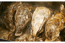 【2025年2月前半発送】牡蠣のガンガン焼きとむき身セット 〈殻付き牡蠣8個＆むき身牡蠣150g〉【 牡蠣 かき 殻付き むき身 天然 人気 浜焼き 三陸産 】RT246