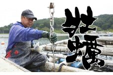 【2025年2月後半発送】牡蠣のガンガン焼きと海の幸 セット 〈殻付き牡蠣 / 牡蠣オイル漬け / ホヤむき身 / 塩蔵わかめ〉【 牡蠣 かき 殻付き ホヤ わかめ 詰め合わせ 人気 国産 三陸産 】RT793