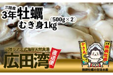 横綱牡蠣！吉田水産のむき身牡蠣 Lサイズ 1kg(500g×2p) 【 むき身 牡蠣 かき 大粒 小分け 加熱用 冷蔵 三陸 リアス海岸 広田湾 3年牡蠣 】RT817