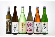 先行予約 酔仙酒造 よりどり6種 飲み比べセット ～冬ver～ 【 地酒 お酒 日本酒 飲み比べ 晩酌 岩手県 陸前高田市 】2025年10月から発送予定 RT742
