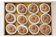 【数量限定】アップルキウイフルーツ 1箱 ( 目安：12～15個 ) ※ご家庭用 【 キウイ フルーツ 果物 旬 産地直送 農薬不使用 】RT1320