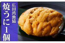 広田湾漁協からお届け！焼きウニ１個 【 おせち ミョウバン不使用 ウニ 雲丹 天然 濃厚 人気 魚介類 海産物 海の幸 三陸産 】RT936