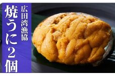 広田湾漁協からお届け！焼きウニ2個セット 【 ミョウバン不使用 ウニ 雲丹 天然 濃厚 人気 魚介類 海産物 海の幸 三陸産 】RT938