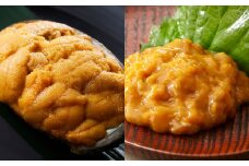 広田湾漁協からお届け！焼きウニ 塩ウニ の食べ比べセット 【 ミョウバン不使用 ウニ 雲丹 天然 濃厚 人気 魚介類 海産物 海の幸 三陸産 】RT939