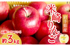 【先行予約】 米崎りんご 「ふじ」 3kg 【 数量限定 りんご リンゴ 林檎 旬 新鮮 産地直送 岩手 陸前高田 産地直送 新鮮 家庭用 】RT671