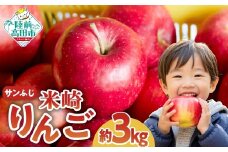 【先行予約】りんご ふじ 3kg 【 米崎りんご 数量限定 りんご リンゴ 林檎 旬 新鮮 産地直送 岩手 陸前高田 産地直送 新鮮 家庭用 】RT671