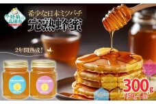 【感謝を込めて価格改定】 2年間熟成！ 希少な日本ミツバチ 完熟蜂蜜 150g×2個 セット 【 数量限定 はちみつ ハチミツ 岩手県 陸前高田市 】 RT1532