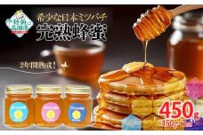 【感謝を込めて価格改定】 2年間熟成！ 希少な日本ミツバチ完熟蜂蜜 150g×3個 セット 【 数量限定 はちみつ ハチミツ 岩手県 陸前高田市 】 RT1533