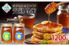 【感謝を込めて価格改定】 2年間熟成！ 希少な日本ミツバチ完熟蜂蜜 600g×2個 セット 【 数量限定 はちみつ ハチミツ 岩手県 陸前高田市 】 RT1534