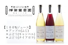 【神田葡萄園】100% ジュース リアスシリーズ 720ml×3本セット 【 りんごジュース ぶどうジュース ノンアルコール 飲み比べ 飲料 飲み物 ギフト 贈答品 】 RT1406