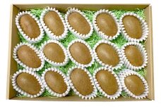 【数量限定】グリーンキウイフルーツ(12～15個)※ご家庭用 ( 農薬も化学肥料 不使用 )【 果物 フルーツ キウイ 農家直送 甘い 完熟 訳あり グリーンキウイ 】RT1363