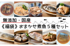福袋 国産・無添加 おまかせ 煮魚 5種セット 【 魚 煮付け おかず おつまみ 詰め合わせ 冷凍 温めるだけ 陸前高田市 手軽 どれが届くかお楽しみ 】RT1880