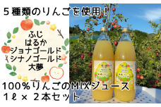 先行予約 【煌め希りんご園】5種類のりんごMIXジュース 1L×2本セット 品種ミックス 〈ふじ/大夢/はるか/ジョナゴールド/シナノゴールド〉【 りんごジュース りんご ジュース 飲料 化粧箱入り 岩手 陸前高田 】2025年11月頃から順次発送予定 RT1494