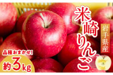 【先行予約】 米崎りんご 3kg ≪品種おまかせ≫【 数量限定 リンゴ 林檎 りんご 9月 10月 11月 12月 青林 王林 ジョナゴールド シナノスイート 等 農業 岩手 陸前高田 産地直送 新鮮 アップル 家庭用 】RT670
