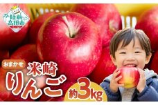 米崎 りんご 3kg ≪品種おまかせ≫【 数量限定 リンゴ 林檎 りんご 9月 10月 11月 12月 青林 王林 ジョナゴールド シナノスイート 等  岩手 陸前高田 産地直送 新鮮 アップル 家庭用 】RT670