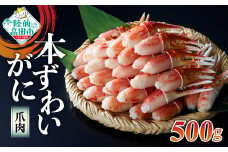【9月末までの限定受付】 ボイル 本ずわいがに 爪肉 500g  (250g×2パック) 便利な小分けパック むき身 ズワイ 蟹 カニ爪 ボイル 冷凍 料理 岩手 陸前高田 タイム缶詰 RT1176
