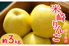 先行予約【清水農園】フレッシュ りんご 「シナノゴールド」 約3kg 【 リンゴ 林檎 果物 フルーツ 期間限定 】2025年10月頃から順次発送 RT1747