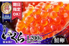＼お届け日が選べる／《極上3特》 国産 いくら (鮭卵) 醤油漬 1200g  ( 200g × 2パック )× 3箱 【 期日指定可 鮭 鮭卵 手巻き寿司 小分け 贈答 贈り物 天然 サーモン 鮭いくら いくら醤油漬け 冷凍いくら 】RT1830