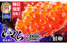 ＼お届け日が選べる／ 国産 いくら  ( 鮭卵 ) 醤油漬 2kg (2000g)  ( 200g × 2パック )× 5箱 《 極上3特 》 【 期日指定可 鮭 手巻き寿司 小分け お祝い ギフト 醤油漬け 天然 サーモン 鮭いくら いくら醤油漬け 冷凍いくら 】RT1831