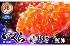 【定期便10ヶ月】 国産 いくら (鮭卵) 醤油漬 400g ( 200g × 2パック )× 10回 《 最上級3特 》 【 鮭 鮭卵 ikura 醤油 海鮮 魚卵 人気 小分け 贈答 贈り物 お祝い ギフト 醤油漬け 天然 サーモン 鮭いくら いくら醤油漬け 冷凍いくら 】