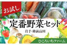 ひころいちファーム定番野菜セット（農家の気持ち体験型野菜の詰め合わせ）岩手 陸前高田 農業