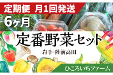 【定期便6ヶ月／毎月1回発送】ひころいちファーム定番野菜セット（農家の気持ち体験型野菜の詰め合わせ） 岩手 陸前高田 農業